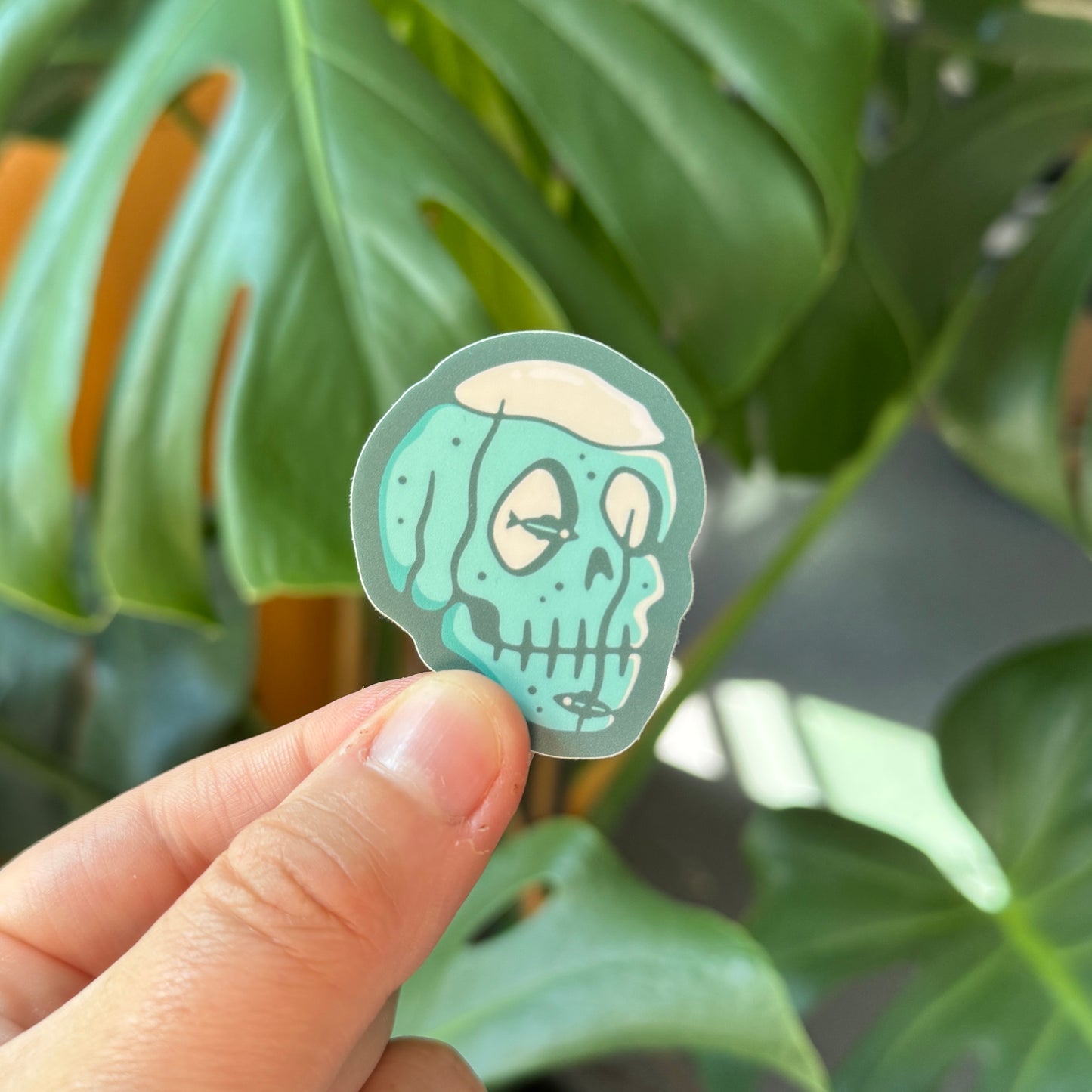 Soggy Skull: 2025 Spooky Lake Month