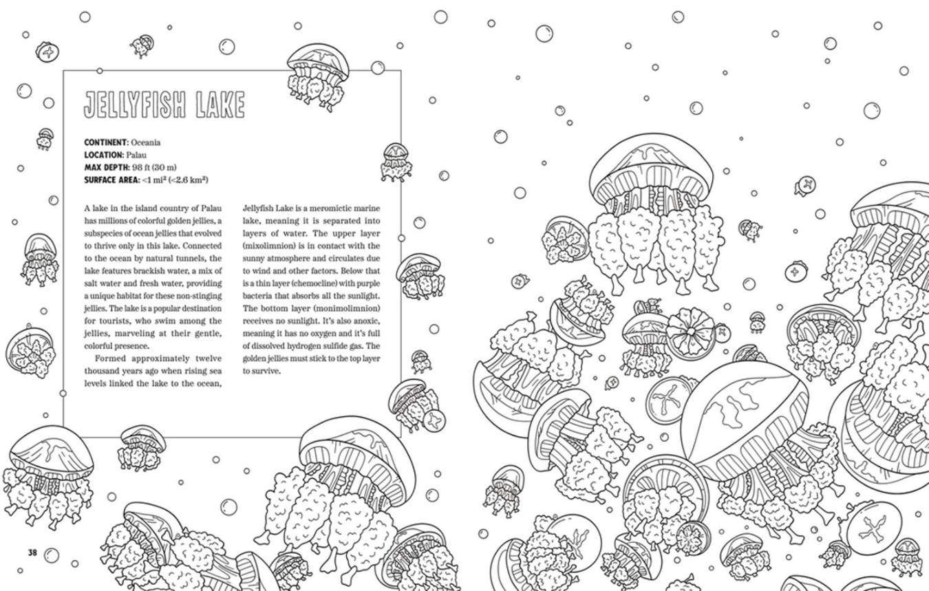 Signed Spooky Lakes Coloring Book