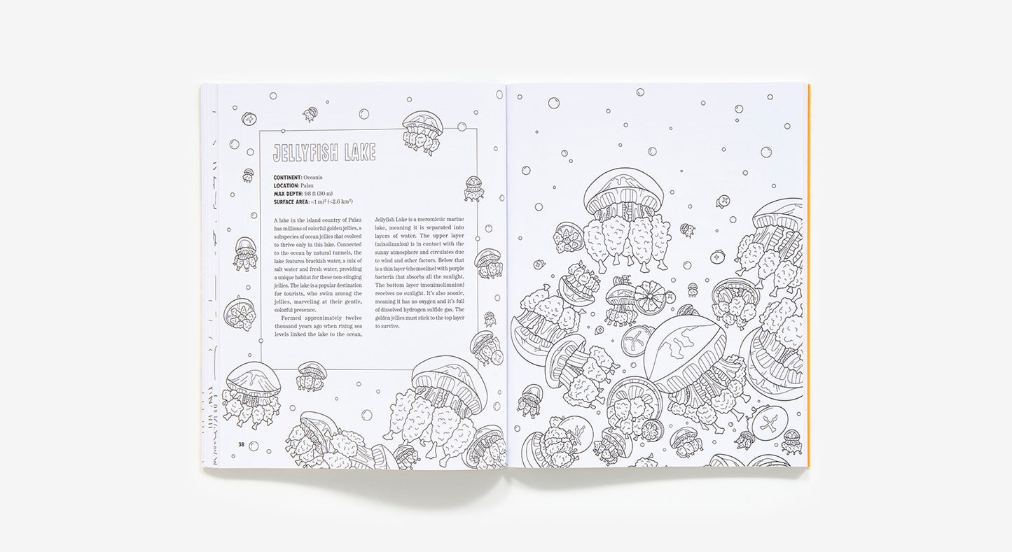 Signed Spooky Lakes Coloring Book
