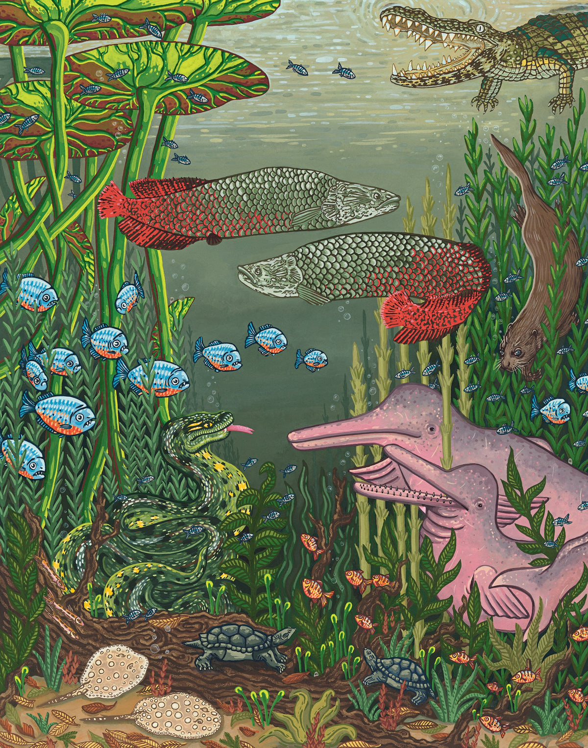 Amazon River Giclée Print