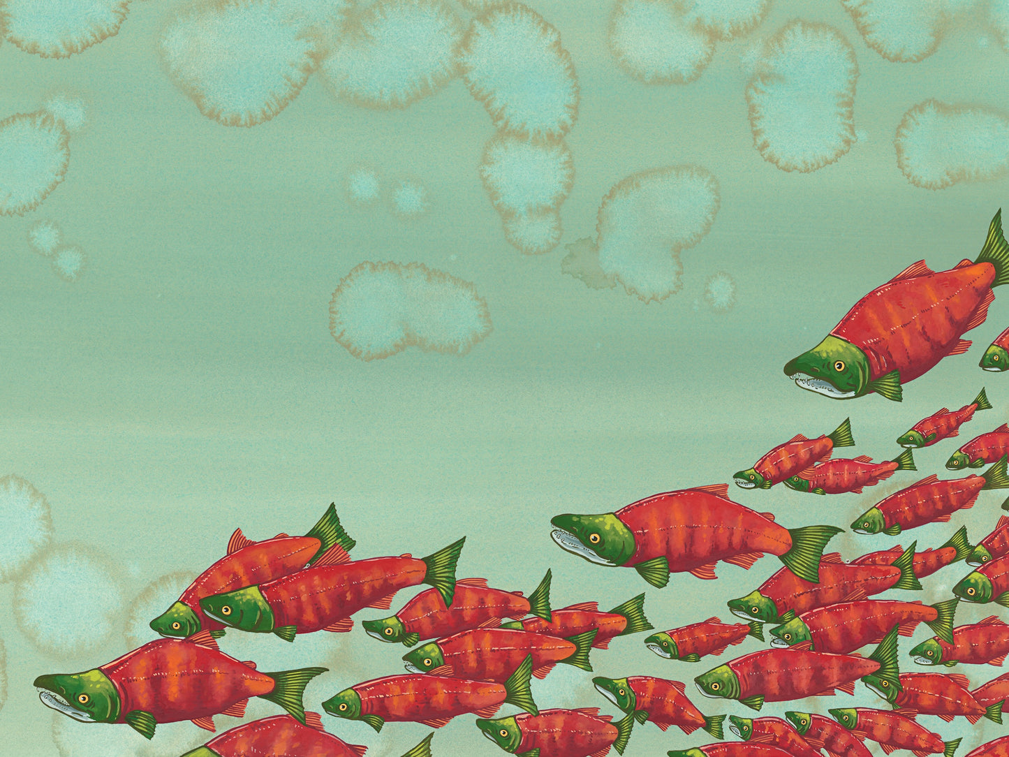 Sockeye Salmon Giclée Print