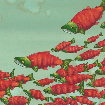 Sockeye Salmon Giclée Print