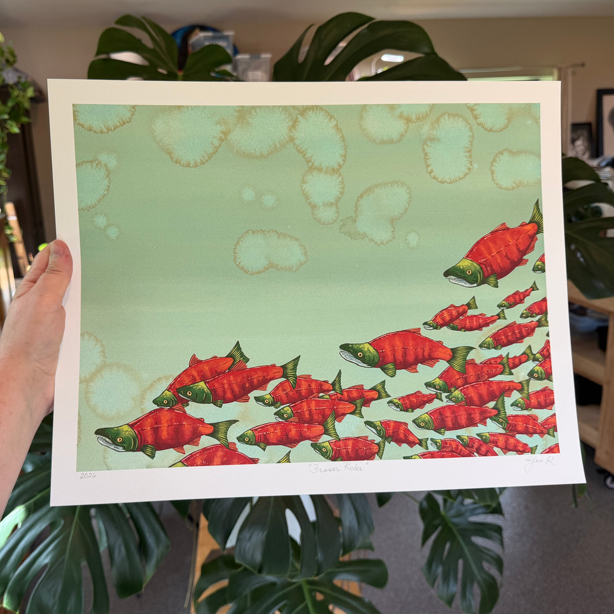 Sockeye Salmon Giclée Print