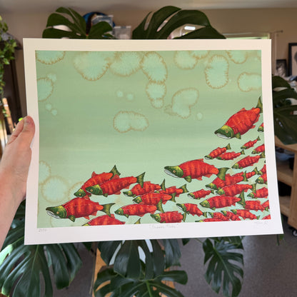 Sockeye Salmon Giclée Print
