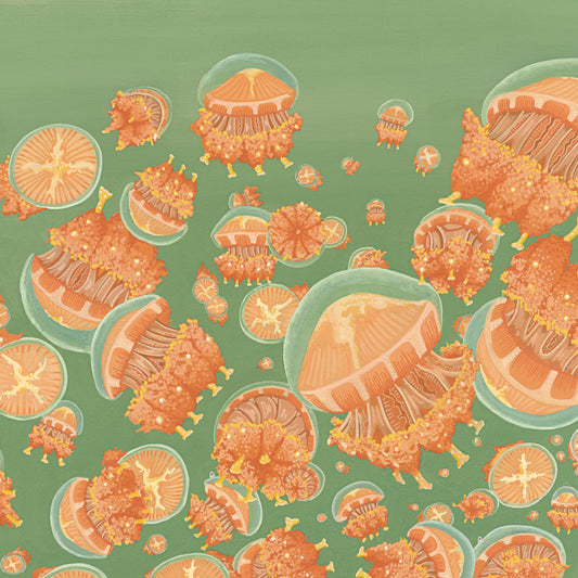 Jellyfish Lake Spooky Lakes Giclée Print